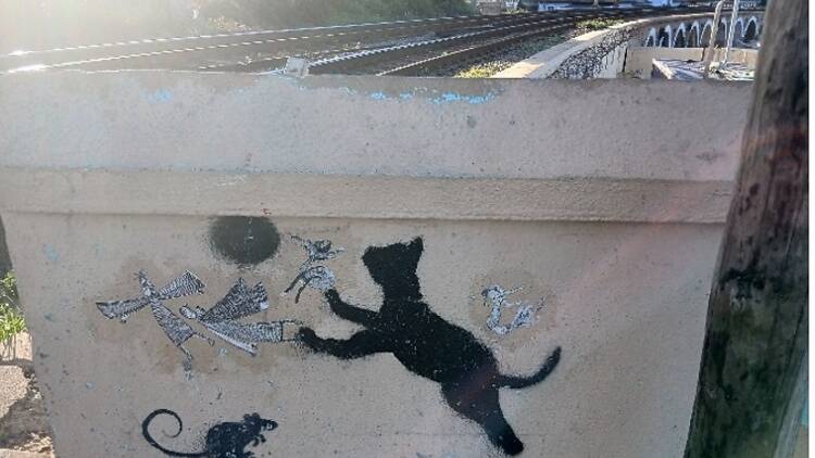 Check out cat street art in Kalk Bay