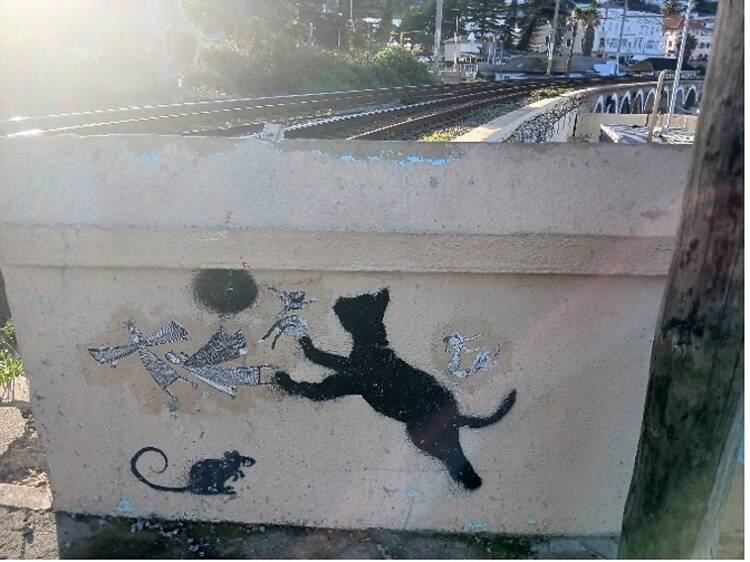Check out cat street art in Kalk Bay