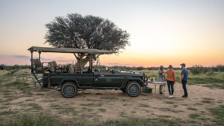 Tau Game Lodge – Madikwe