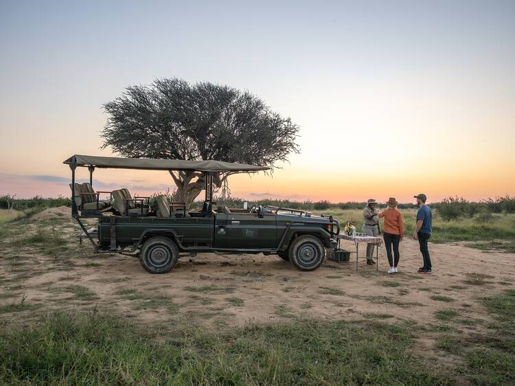 Tau Game Lodge – Madikwe