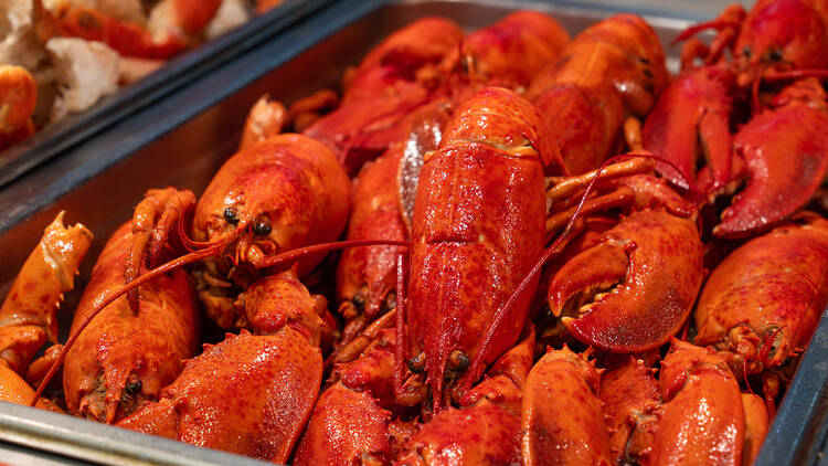 A.Y.C.E. Buffet 