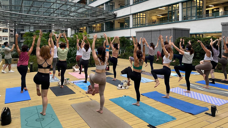 Green Sunday by the Bay yoga