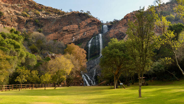 Walter Sisulu National Botanical Garden, Roodepoort