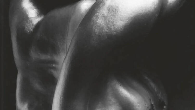 Edward Weston. Pimiento n.º 30, 1930. Cortesía de Trockmorton Fine Art Edward Weston. Pimiento n.º 30, 1930. Cortesía de Trockmorton Fine Art