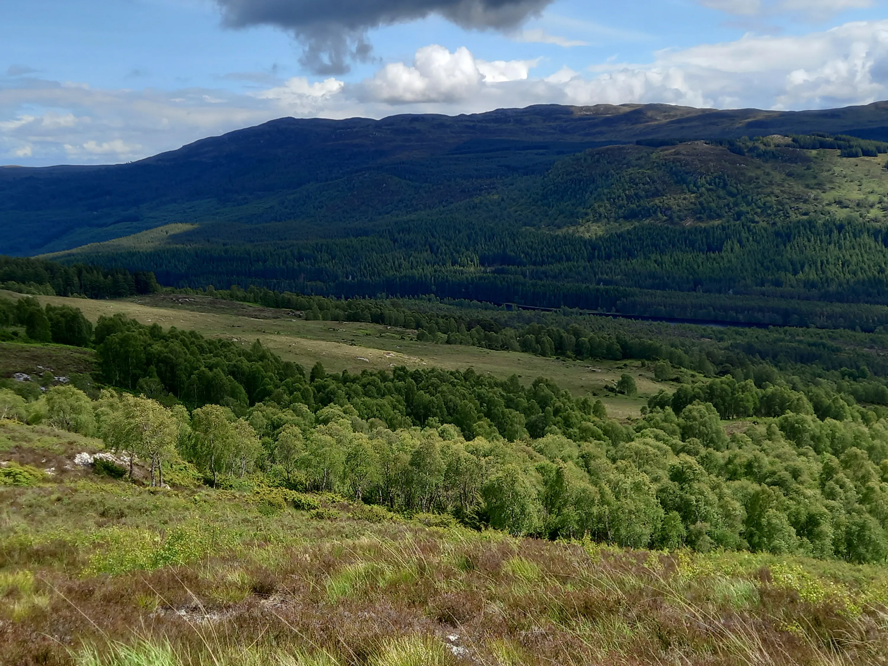 Dundreggan, Scotland
