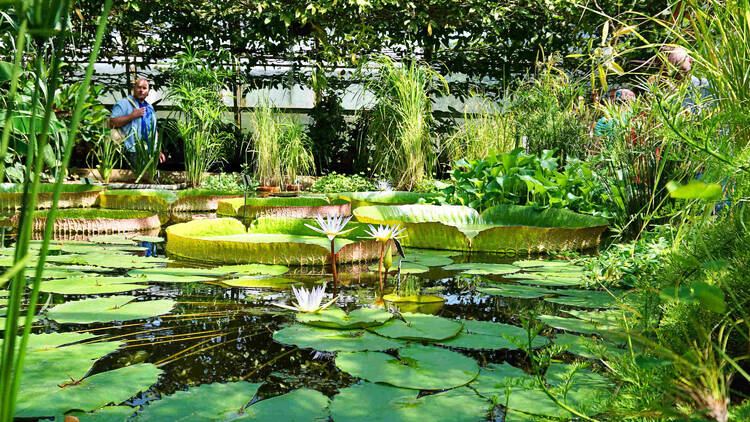 Find peace at Oxford Botanic Garden and Arboretum