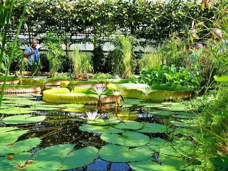 Find peace at Oxford Botanic Garden and Arboretum