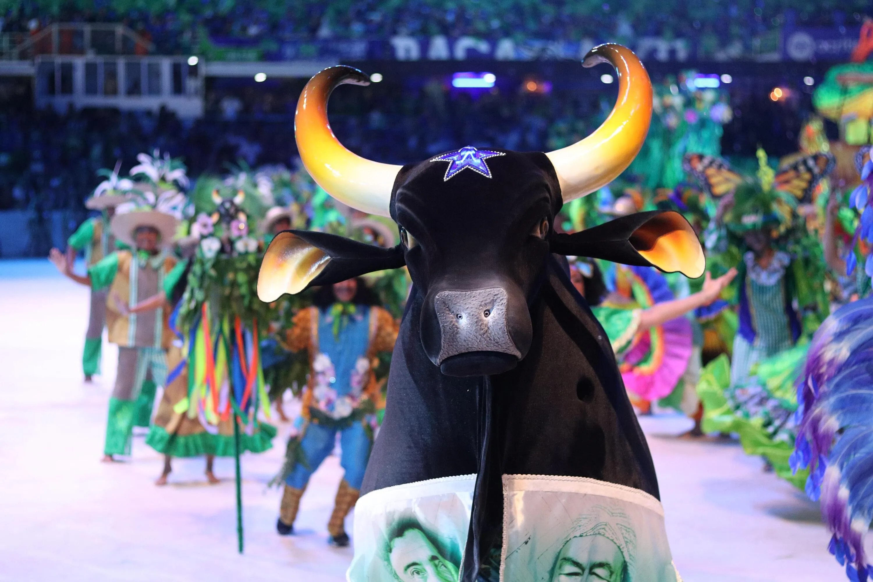 Blue Bull