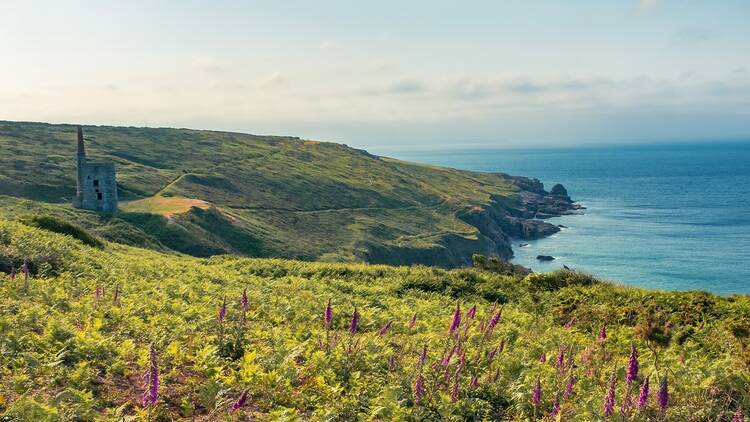 Southwest coast path Helston Rinsey cove with characteristic tin mine ruin
