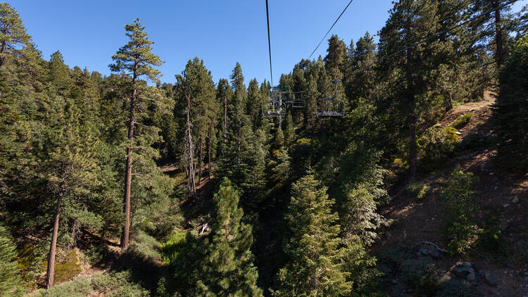 Take the chairlift to the top of a mountain (no matter the season)