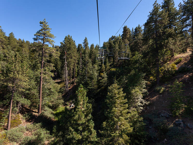 Take the chairlift to the top of a mountain (no matter the season)