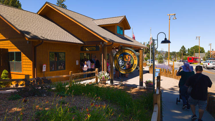 Big Bear Alpine Zoo