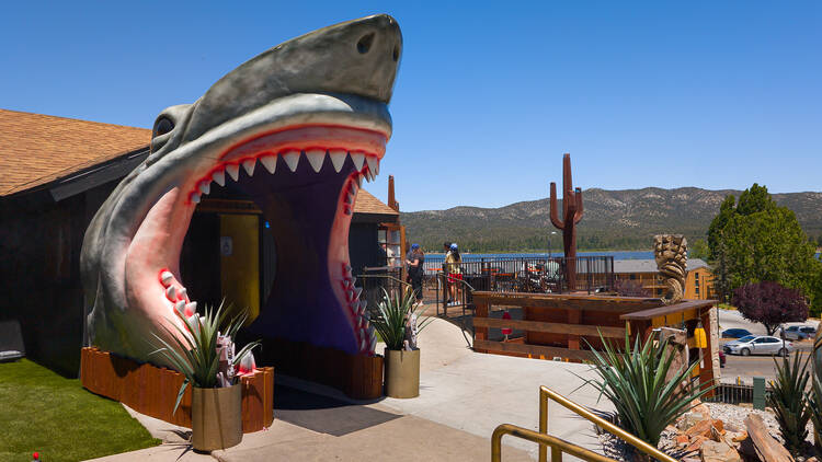 Tropicali in Big Bear