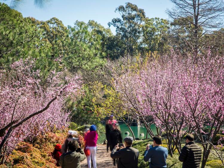 The best things to do in Sydney this weekend