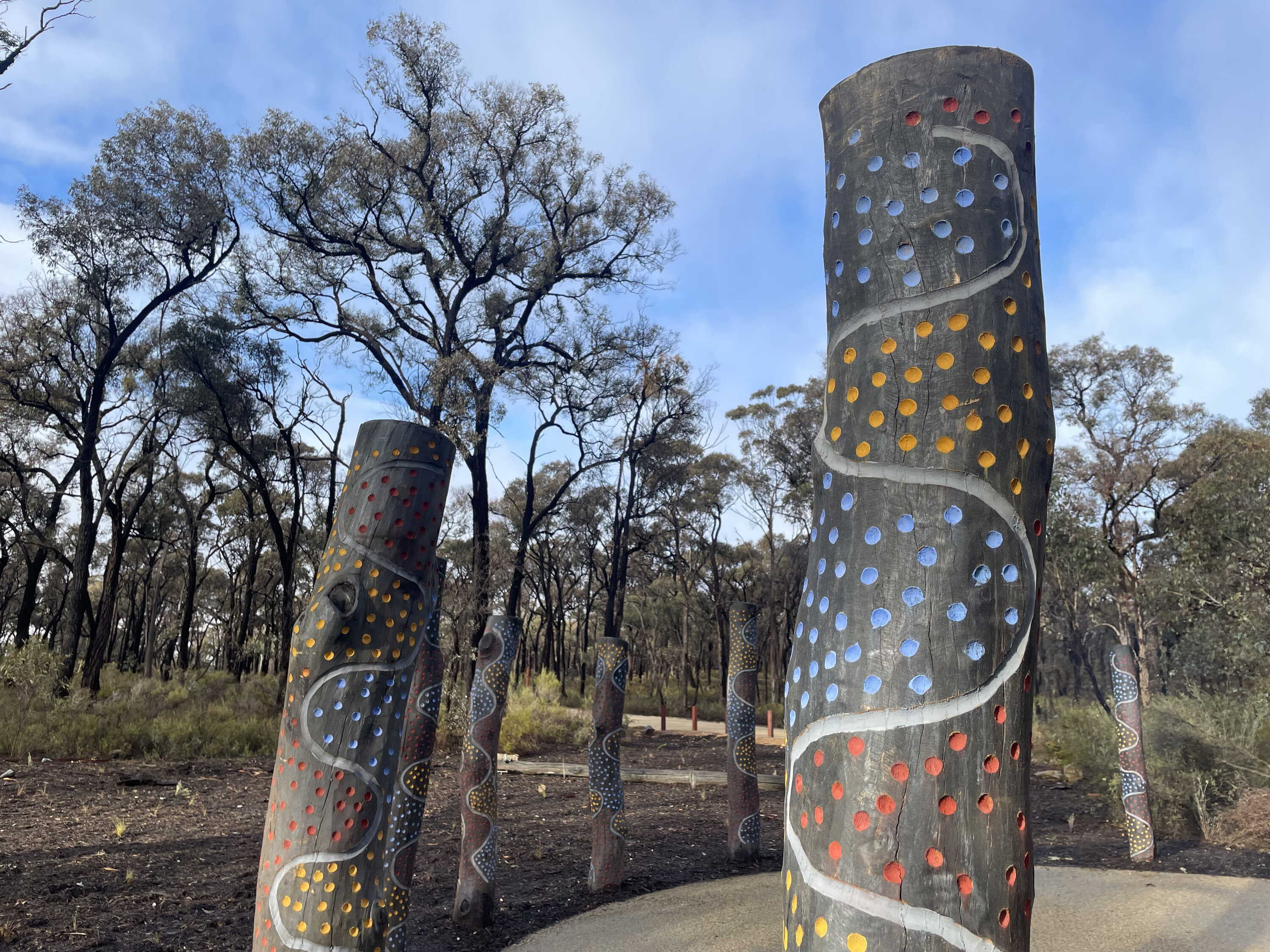 A picturesque new forest campground has just opened in regional Victoria
