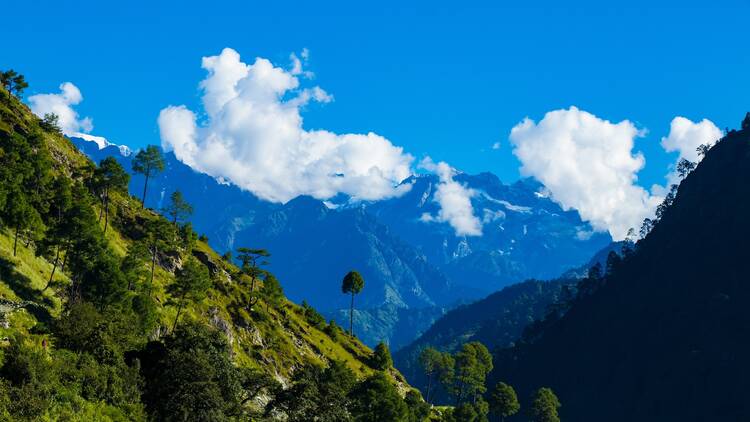 Mt. Saipal Base Camp Trekking in Himalaya of Bajura Nepal