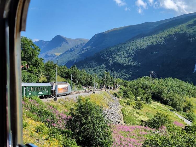 One trip, five unforgettable nature encounters