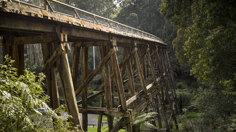 Noojee Trestle Bridge