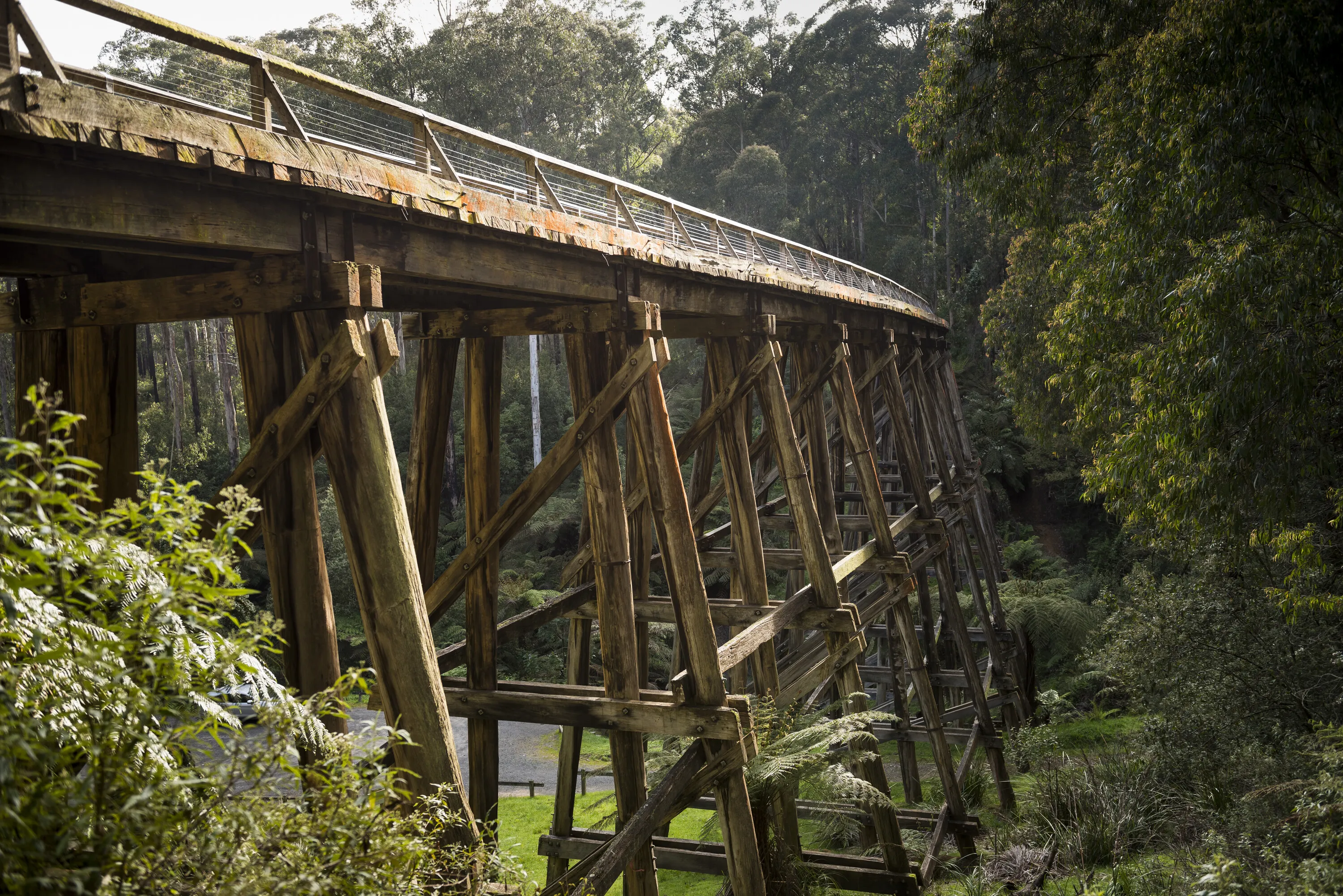 Noojee Trestle Bridge