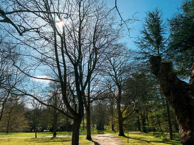 Potter around the pristine gardens of Cannizaro Park