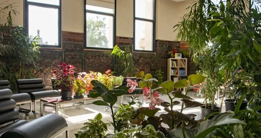 CentroCentro