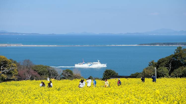 Fukuoka, Japan - March 21 2024. Nokonoshima Island