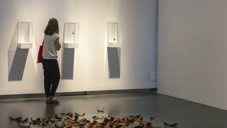 Instalaciones 'Vibraciones' y 'Caducidad. Límite', 2025 Cristina Almodóvar. Foto Amapola Creativa