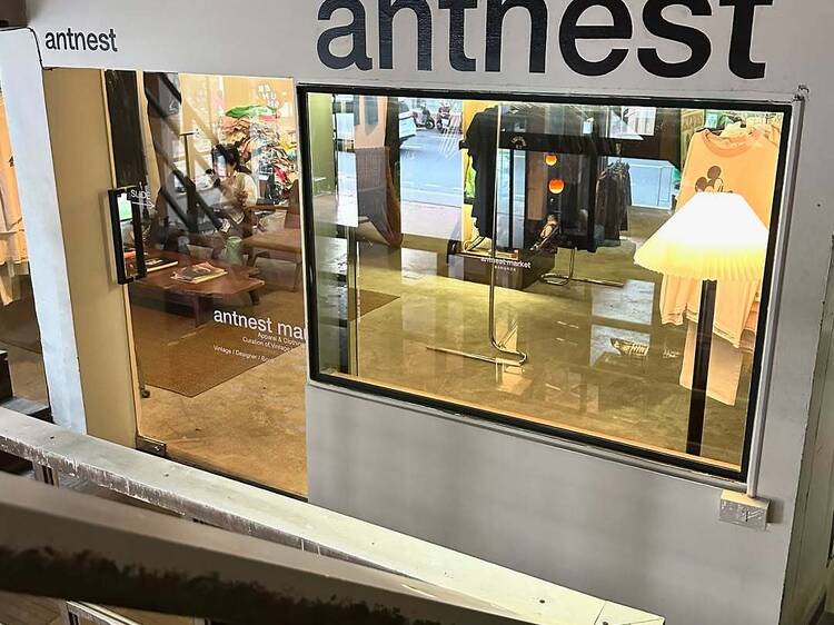 Antnest Market