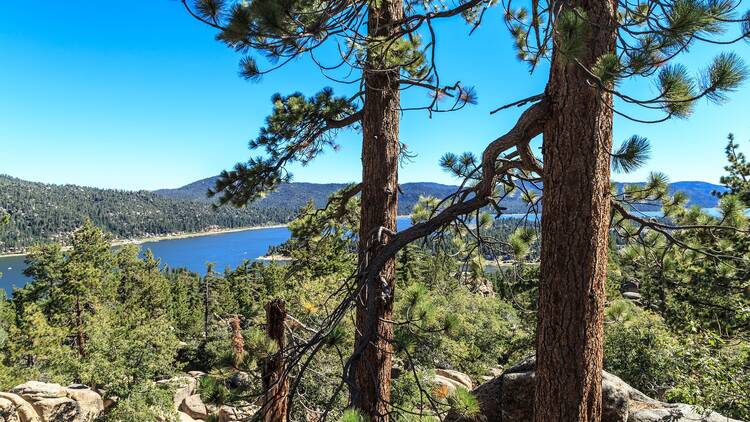 Take in views of the lake on the Castle Rock Trail