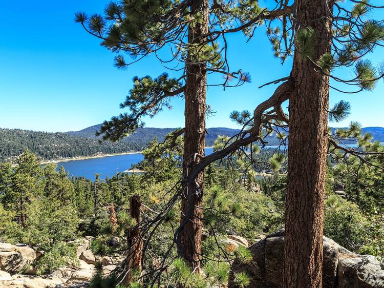 Take in views of the lake on the Castle Rock Trail