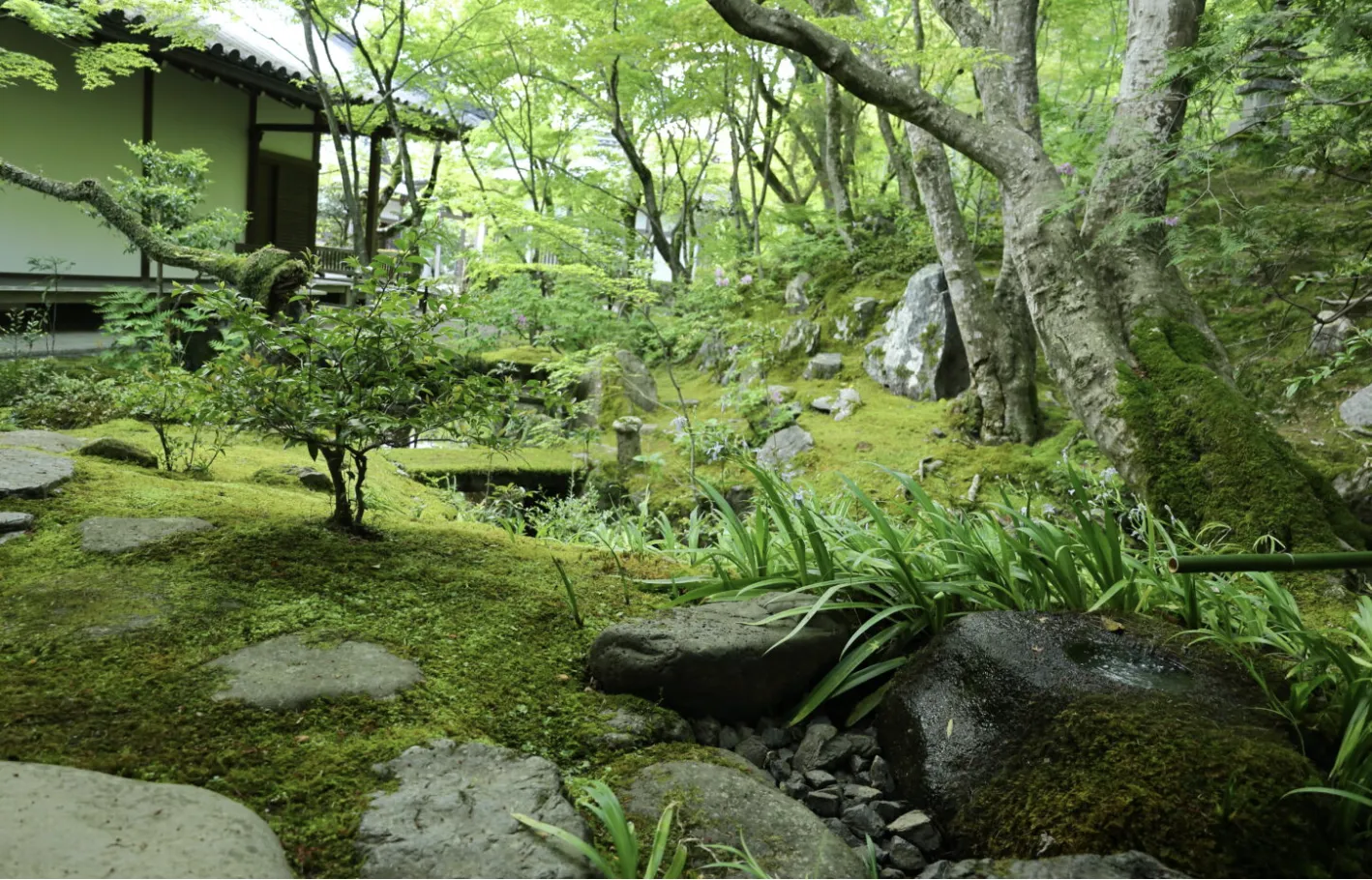 Jojakko-ji Temple
