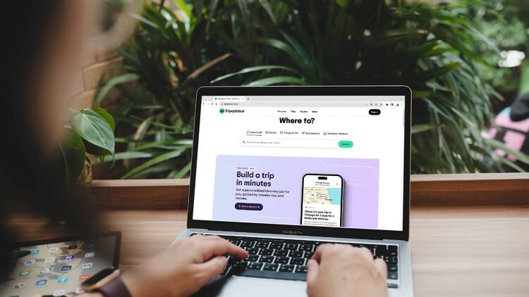 Traveler using Tripadvisor website