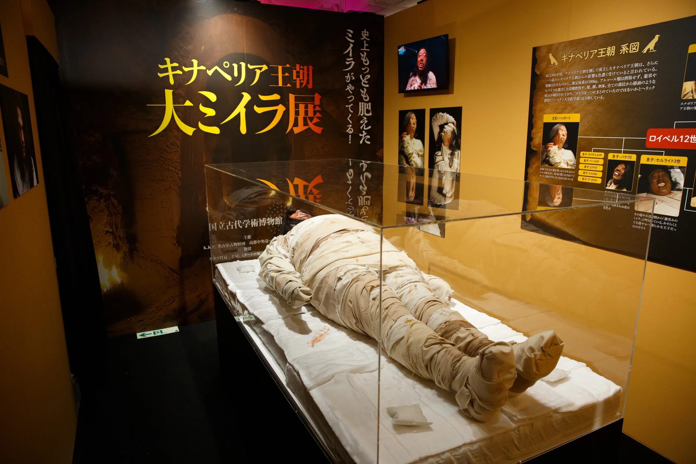 10周年 クリエイターズ・ファイル 胸やけ大博覧会