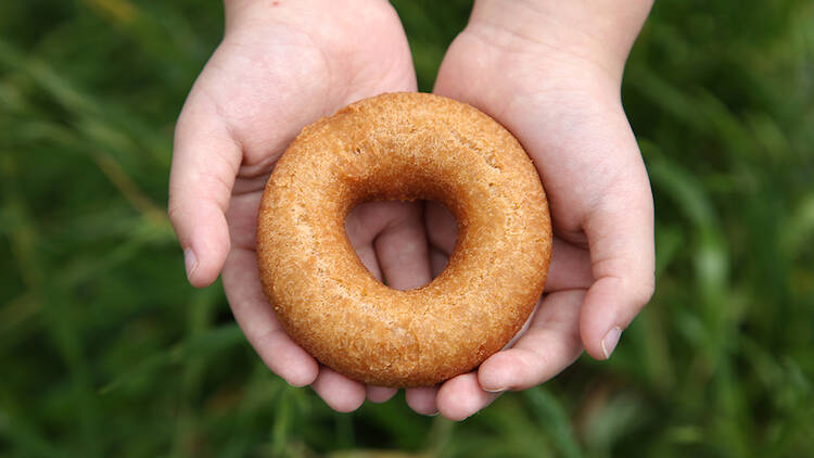 Floresta Nature Doughnuts