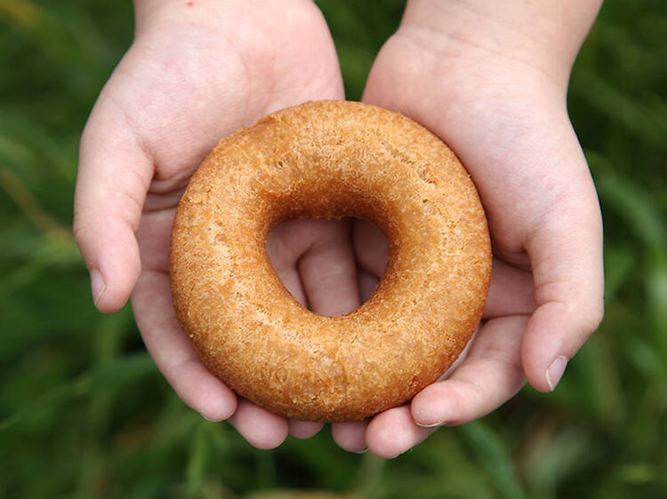 Floresta Nature Doughnuts