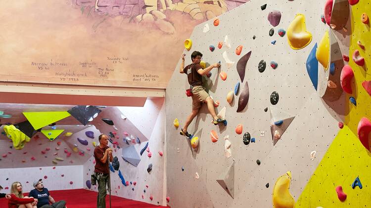 The Reach Climbing Wall
