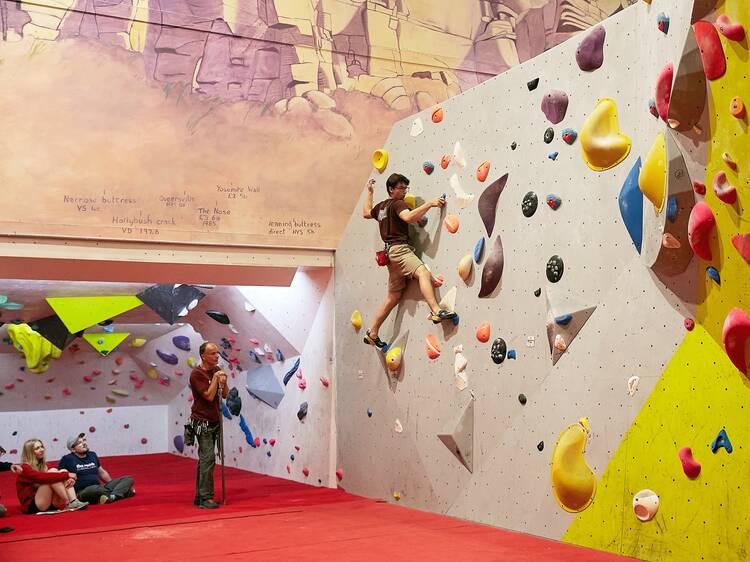 The Reach Climbing Wall