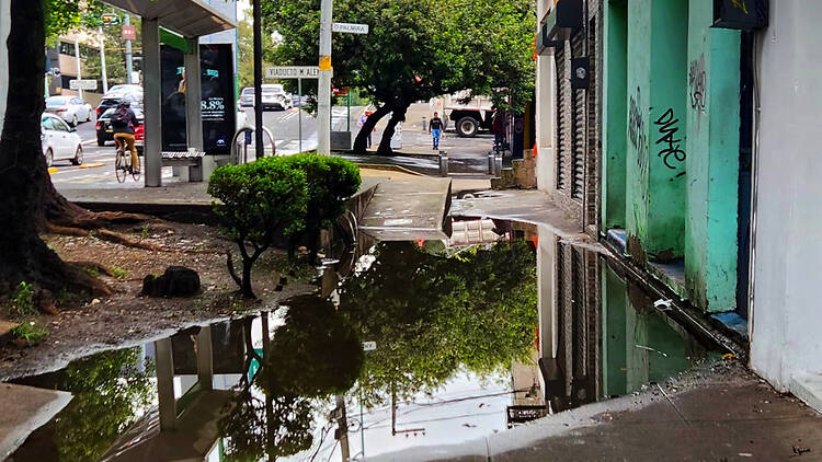 Lluvias en CDMX: qué hacer si tu casa se inunda y cómo prevenirte Lluvias en CDMX: qué hacer si tu casa se inunda y cómo prevenirte