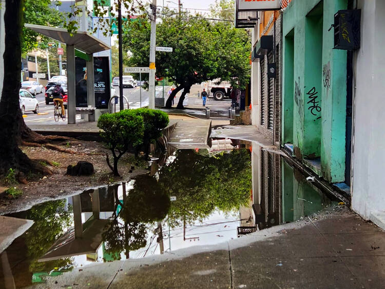 Lluvias en CDMX: qué hacer si tu casa se inunda y cómo prevenirte