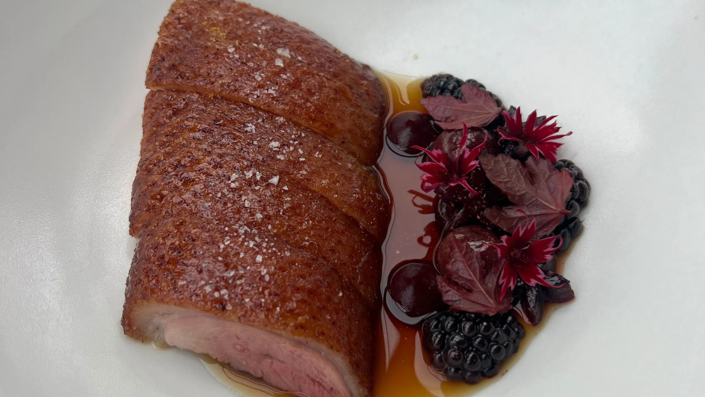 Duck at Bennelong