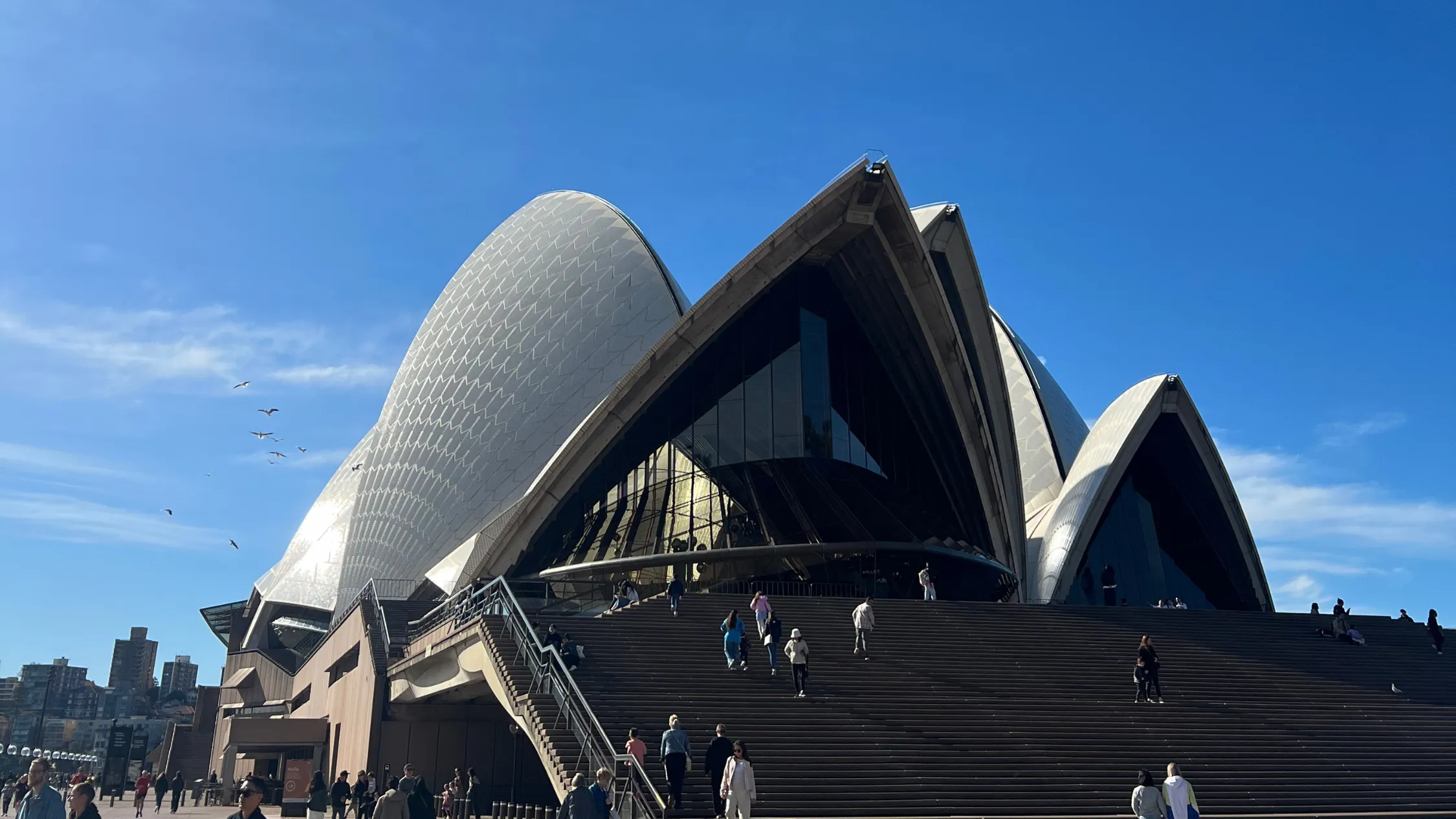 The Opera House