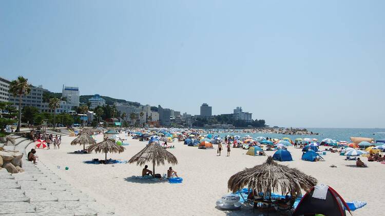 Shirahama Beach, Wakayama