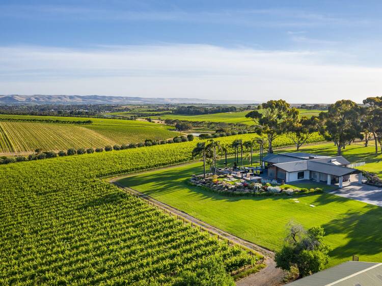 The best McLaren Vale wineries
