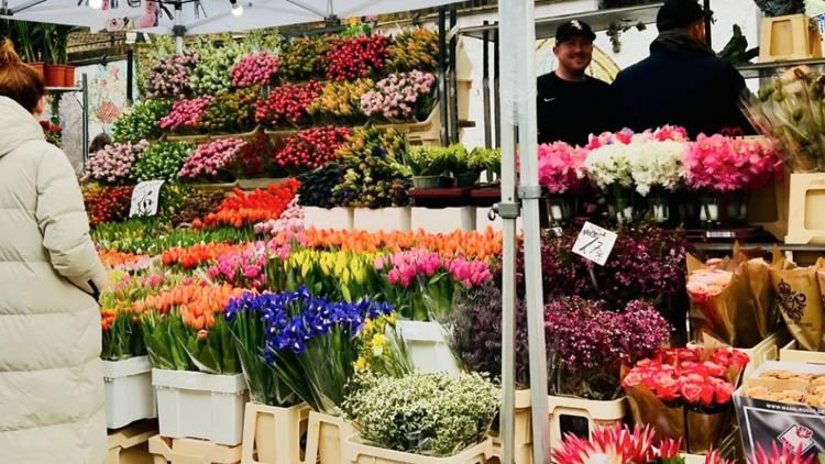 Columbia Road Flower Market