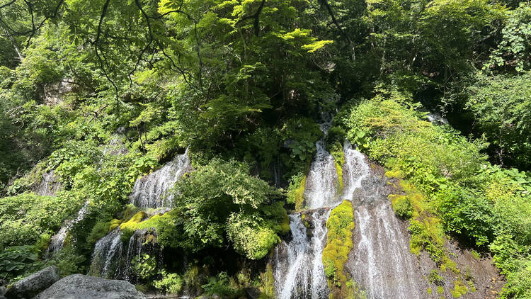 吐竜の滝