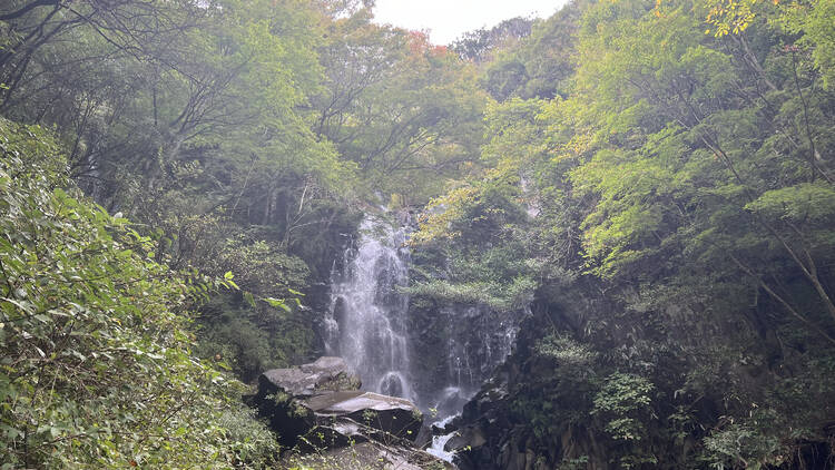 飛龍の滝