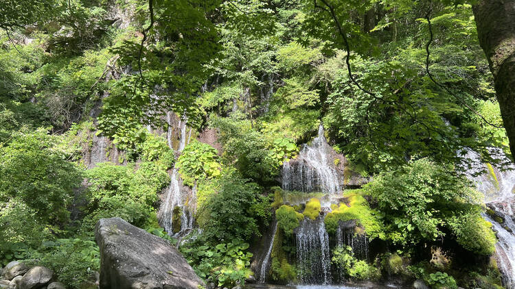 吐竜の滝