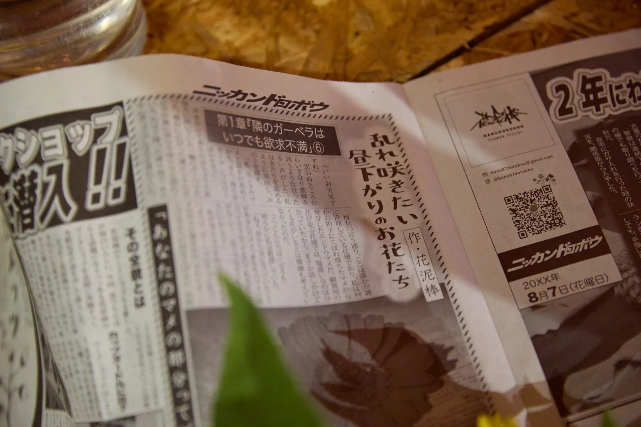 『日本泥棒新聞』