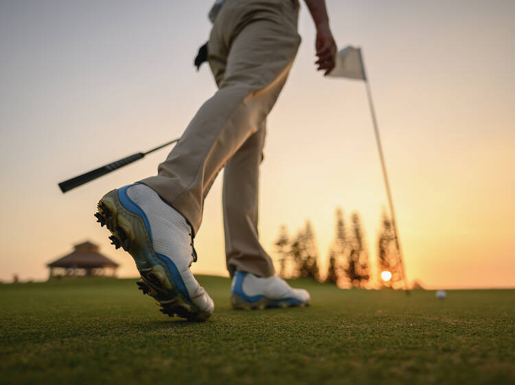Hit the golf course