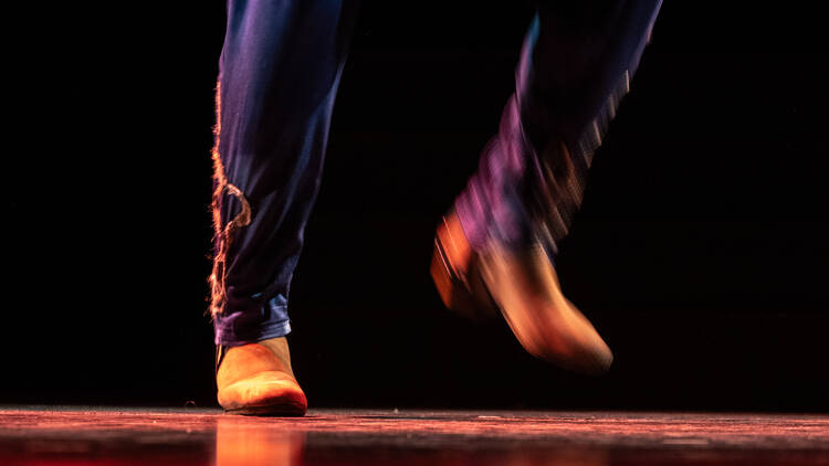 Ciutat Flamenco